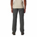 Zip off bukser Silver Ridge Convertible Pant