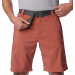 Columbia Sportswear - Silver Ridge Utility Shorts Auburn