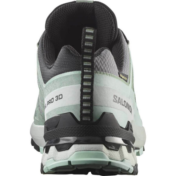 Salomon XA Pro 3D V9 GTX W sko