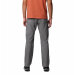 Vandrebukser Silver Ridge Utility Pant Grey 