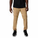 Triple Canyon Convertible Pant Zip-off