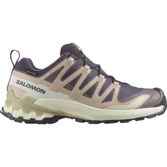 Salomon XA Pro 3D V9 GTX W Iron Vandtætte sko